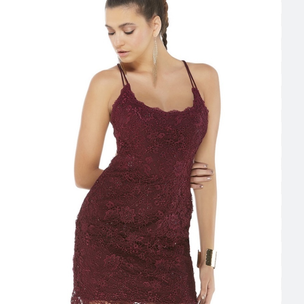84. Xtraordinary Lace Dress in Wine, Size Large
